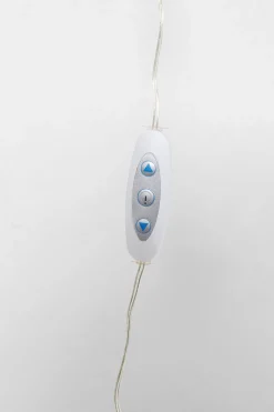 Bild Fancy Red Lady LED 120x80cm