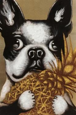 Bild Touched Dog with Pineapple 80x80cm