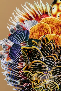 Gerahmtes Bild Flower Hair 120x120cm