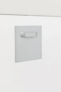 Glasbild Fashion Dog 60x80cm