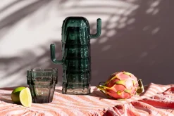 Gläser Cactus (6/tlg.)
