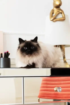 Konsole Luxury Pearl