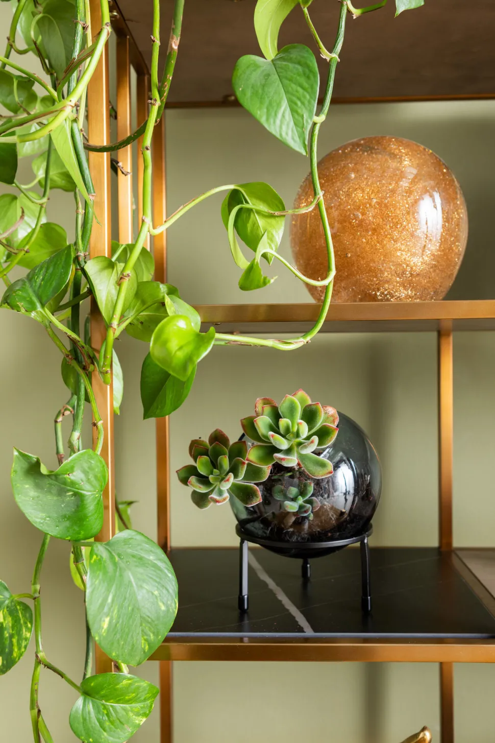 Regal Cesaro 90x170cm