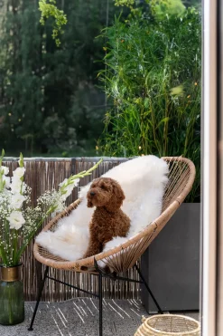 Sessel Spaghetti Natur