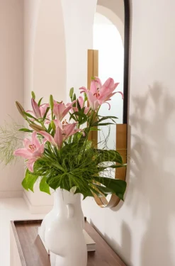 Spiegel Hipster Oval 50x114cm