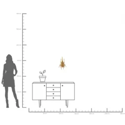 Wandobjekt Herkules Beetle Gold