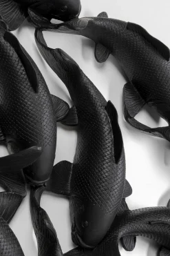 Wandobjekt School of Koi Schwarz Ø160cm