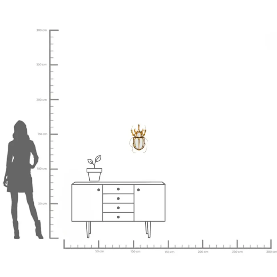 Wandschmuck Beetle Mirror 25x39cm