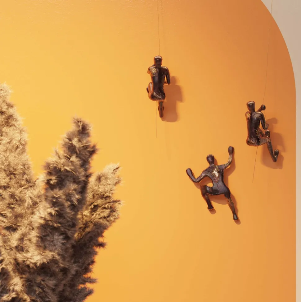 Wandschmuck Climber Rope