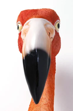 Wandschmuck Flamingo Road 72cm