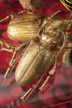 Wandschmuck Longicorn Beetle Gold