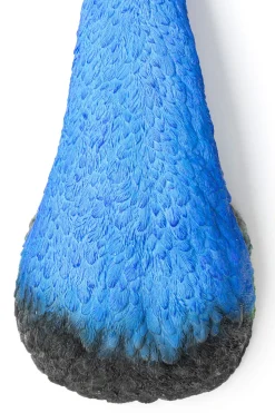 Wandschmuck Peacock